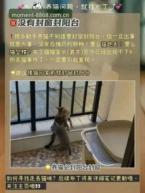 5个让你少折腾的8868体育网页登录避坑指南